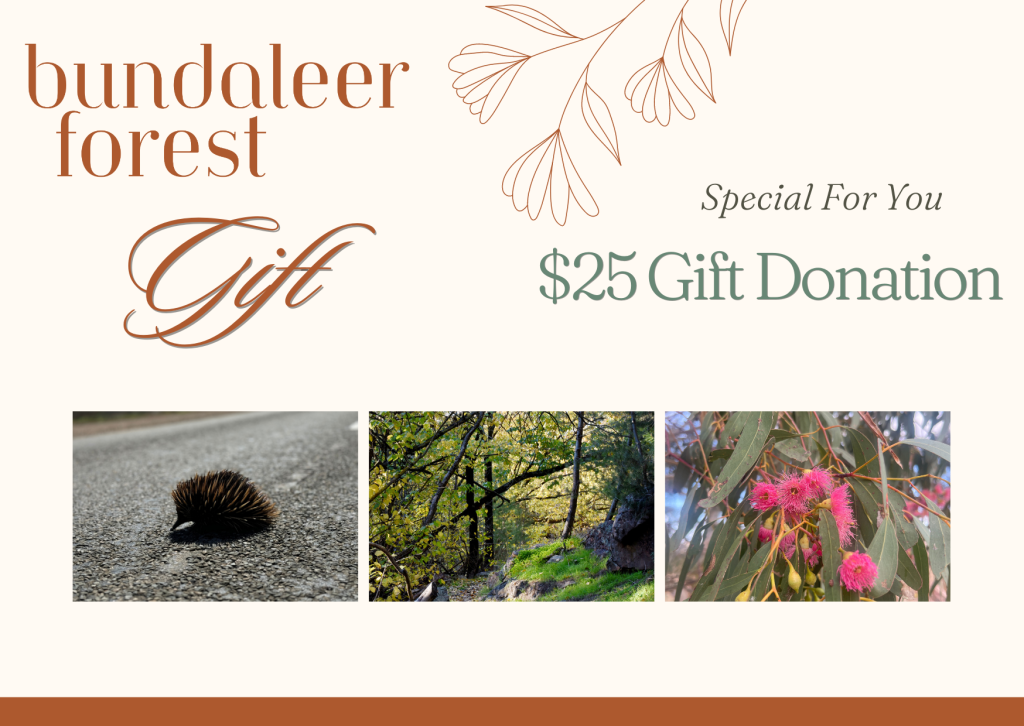 $25-gift-donation