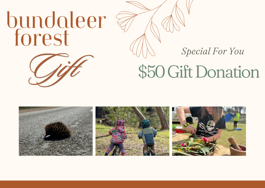 $50-gift-donation